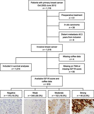 Coffee Is Associated With Lower Breast Tumor Insulin-Like Growth Factor Receptor 1 Levels in Normal-Weight Patients and Improved Prognosis Following Tamoxifen or Radiotherapy Treatment